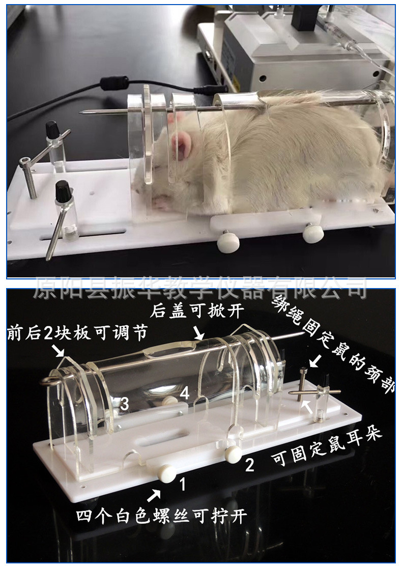 500克大鼠固定器250g大鼠固定器 特大老鼠固定器 鼠固定器固定筒