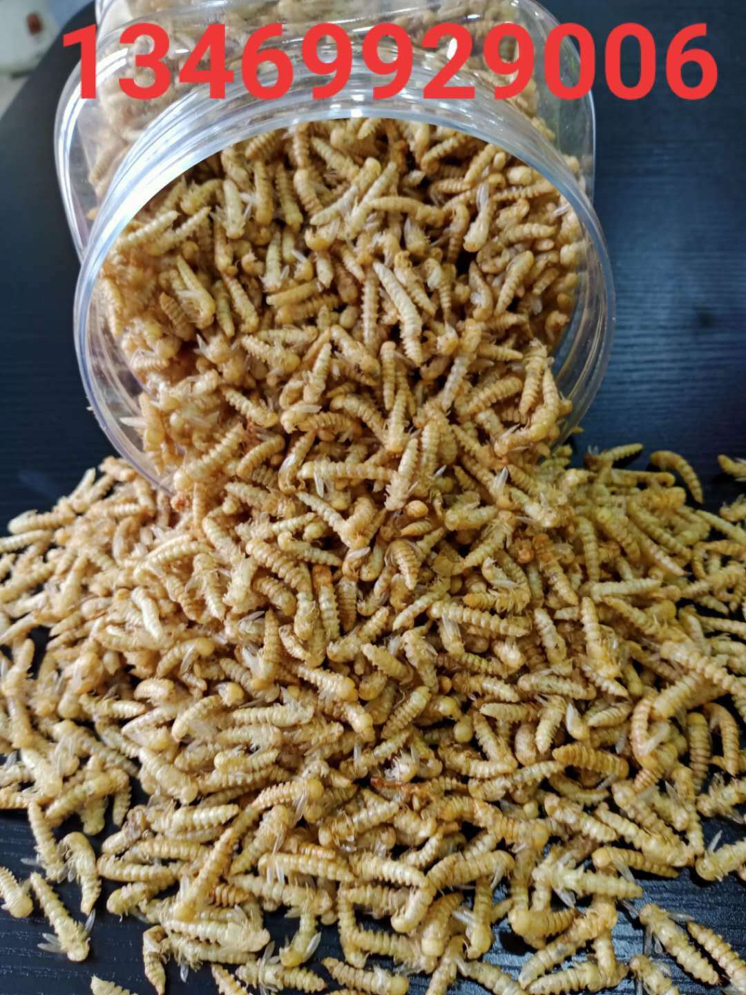 饲料黄粉虫干蛹 面包虫干蛹黄粉虫蛹质量又保证专业包邮仓鼠