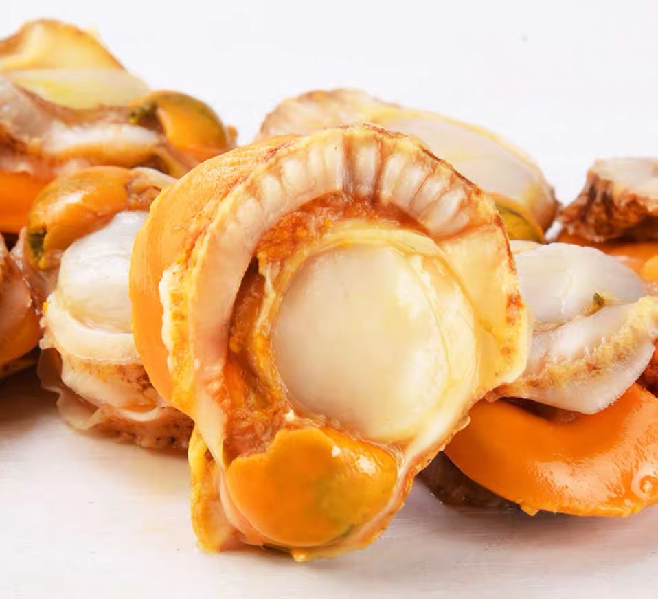 海鲜鲜活田螺粉丝扇贝现剥新鲜冷冻扇贝肉海产贝类肉厂家直销