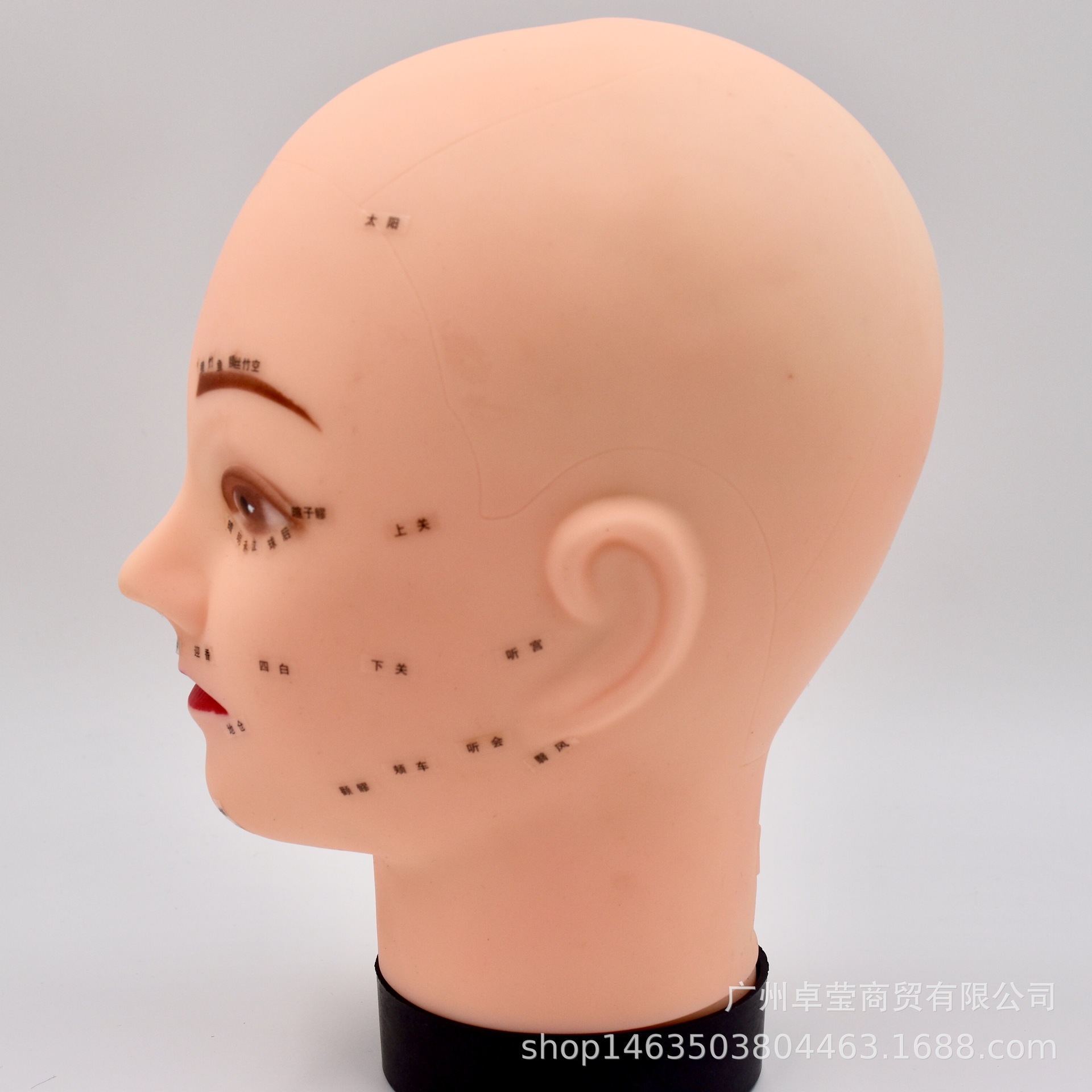 美容教材 按摩用必穴位人头模型 模特头假人头模硅胶头(软)