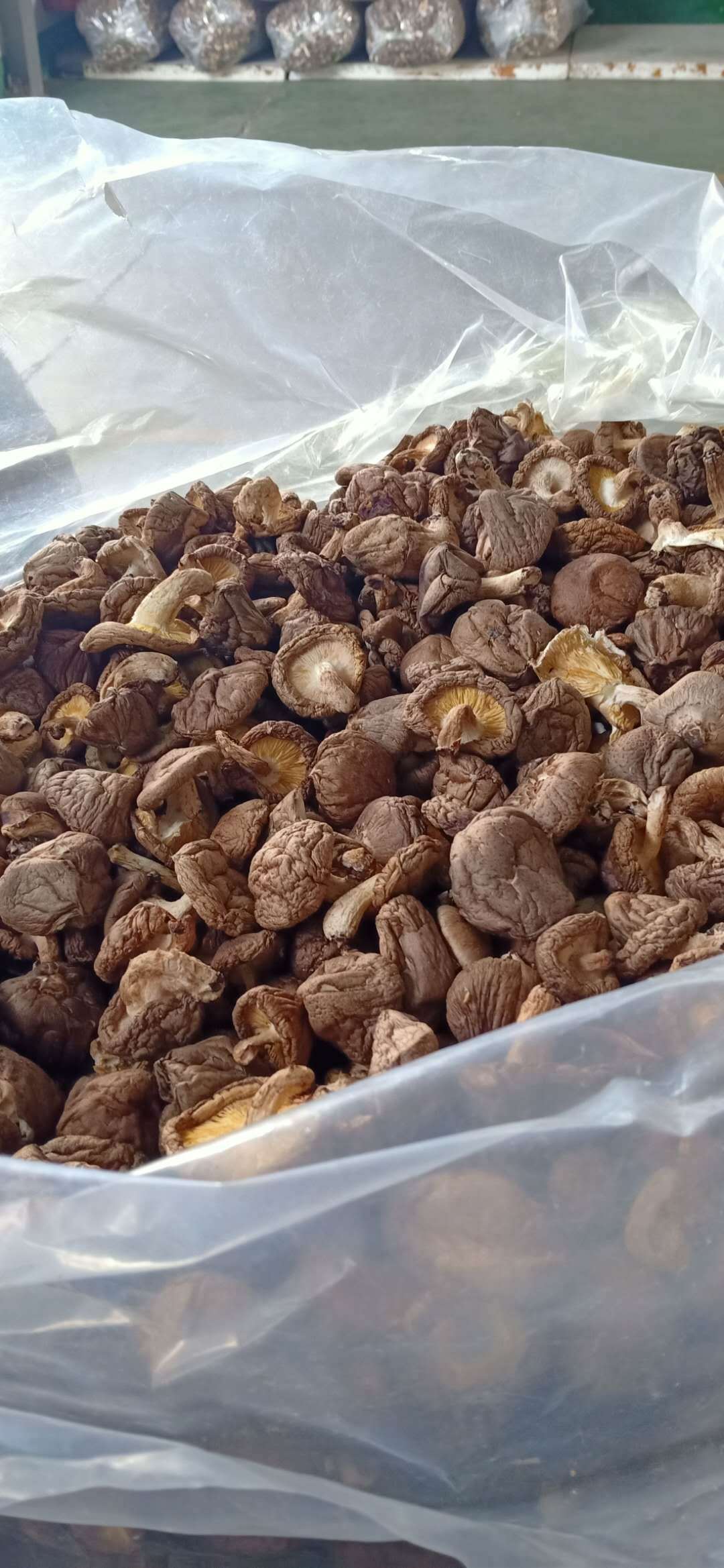 楚蕈湖北远安大自然带脚干香菇批发500g散装