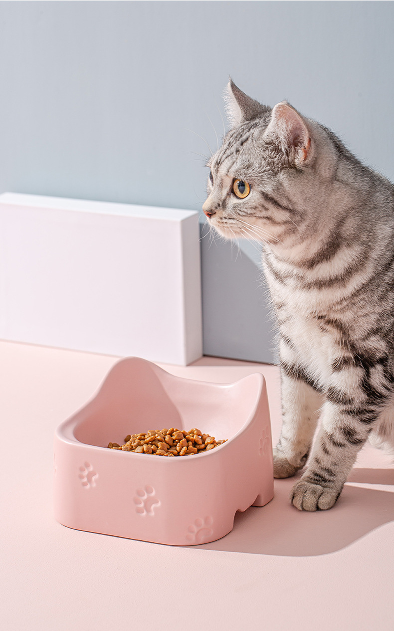 猫碗陶瓷保护颈椎加菲猫幼猫专用斜口宠物扁脸碗猫食猫粮盆猫饭盆