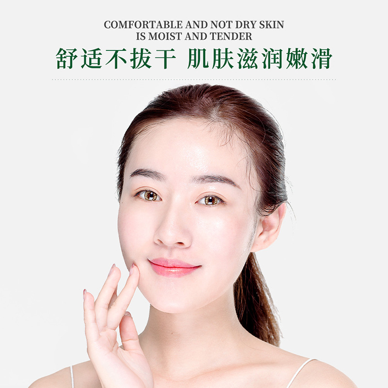 Baizhen Tang Argy Wormwood Fresh Extract Moisturizing Mask Hydrating Moisturizing Shrink Pores Improve Acne Refreshing Oil Control Mask