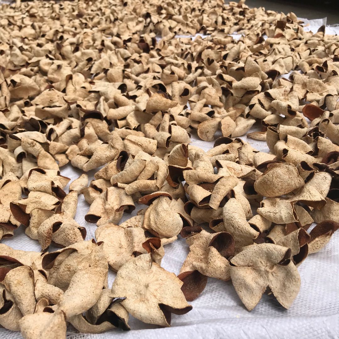 【柑琦宝】正宗新会原枝陈皮新会大红圈枝陈皮橘子皮纯生晒有甜味