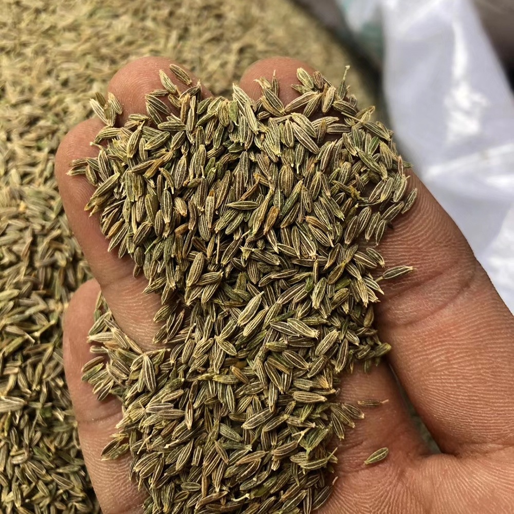 批发新疆孜然 香浓孜然粒 免费加工 烧烤烤串佐料 现磨孜然粉