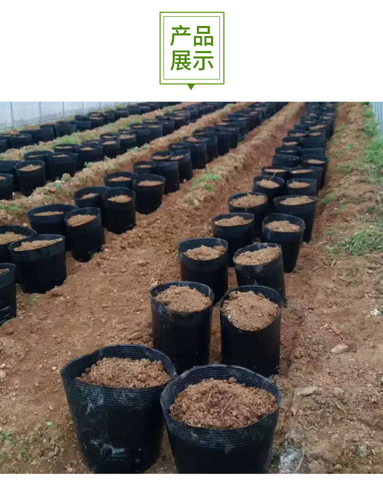 厂家营养杯育苗杯批发营养钵育苗袋塑料育苗盆