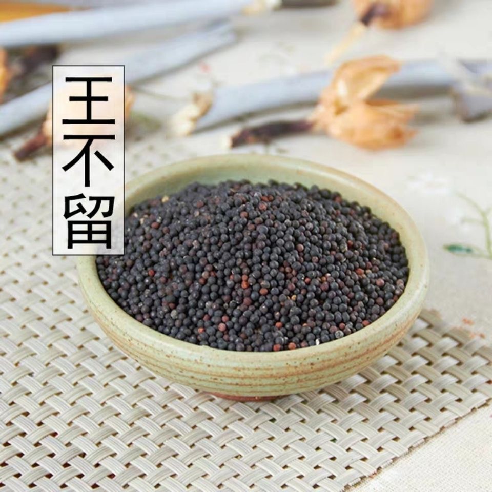 生王不留行 炒王不留行王不留籽 留行子新货 500g包邮-阿里巴巴