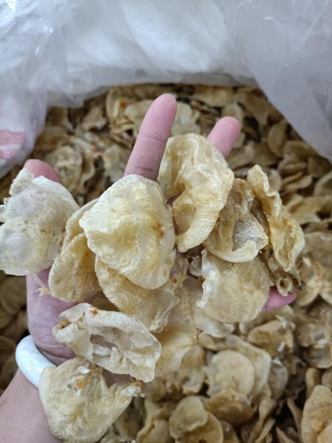 厂家直销昌升海味大量现货供应80头烹调清水小赤鱼胶500g干货批发