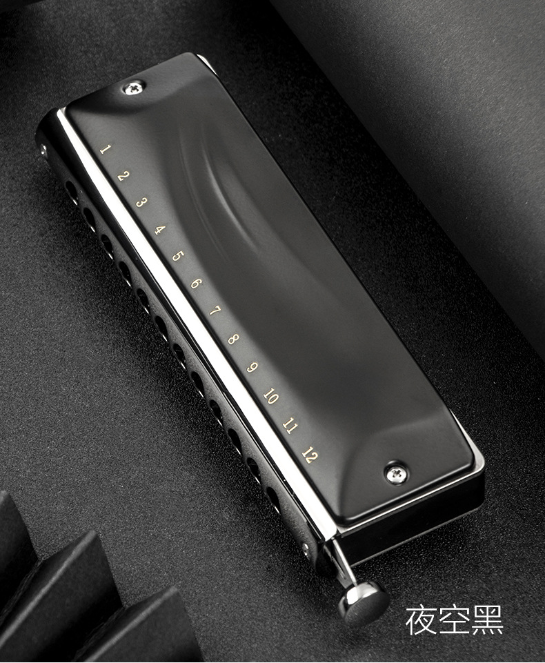 jdr嘉德瑞12孔初学者成人学生入门专业演奏半音阶口琴