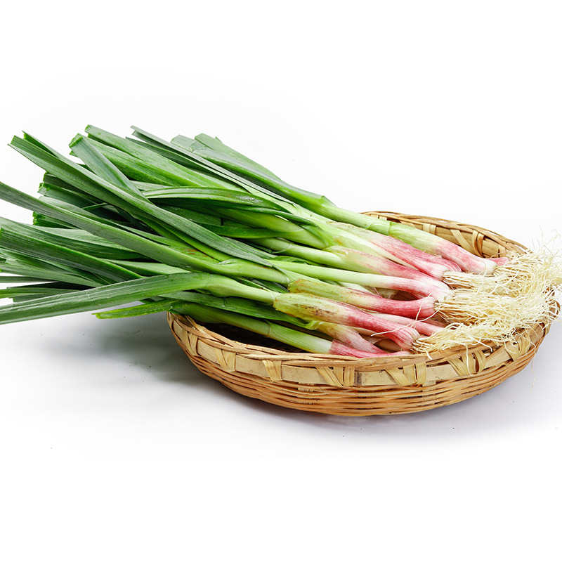 10斤包邮 新鲜蒜苗青蒜苗红皮蒜苗回锅肉配菜大蒜苗香蒜苗