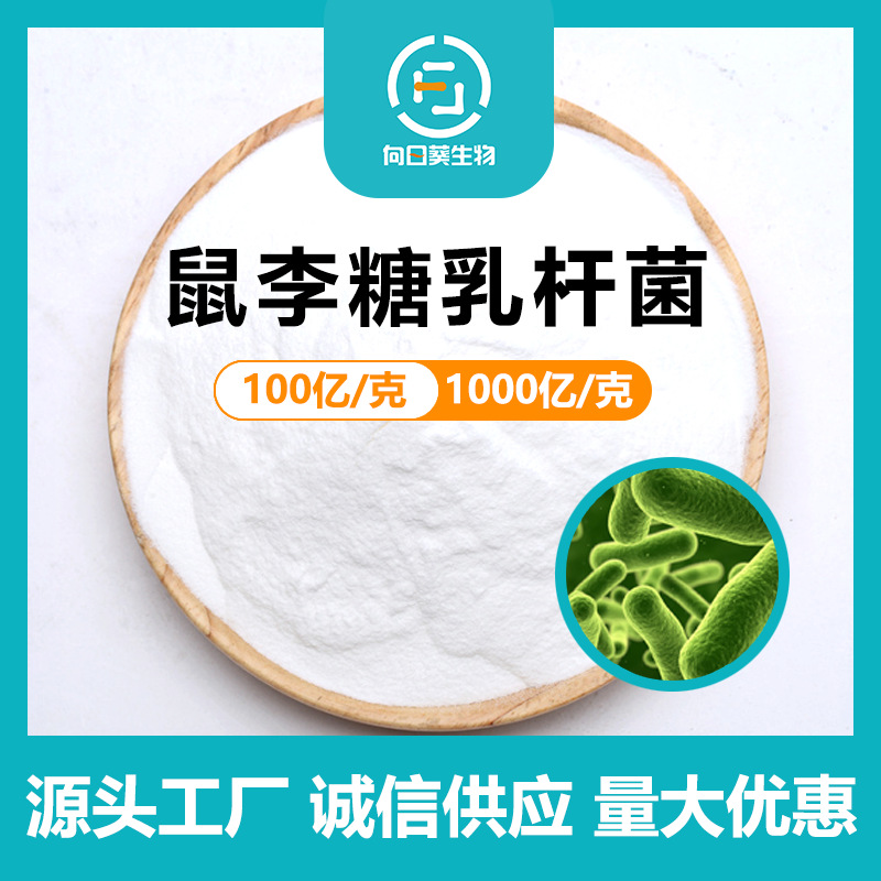 鼠李糖乳杆菌活菌冻干型发酵益生菌100亿g杆菌乳杆菌源头厂家