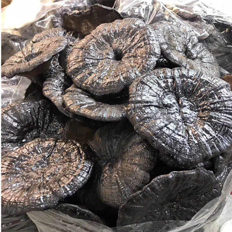 批零中药材优质 黑灵芝 黑芝玄芝黑云芝产地货源量大从优产地货源