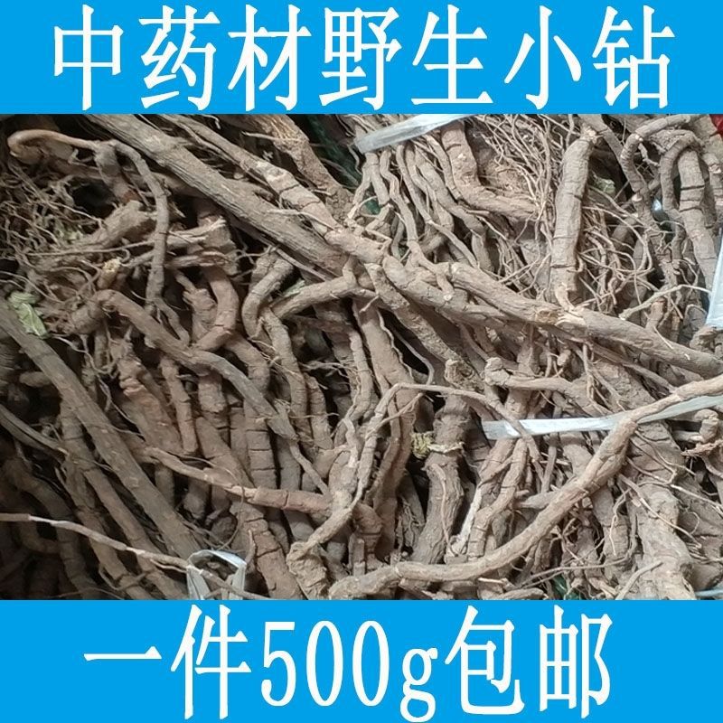 小钻 钻骨风 小血藤 500克包邮中药材批发供应秦艽