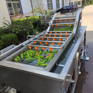 多功能洗菜机 青椒菜花西蓝花清洗设备 菠菜油菜清洗加工流水线
