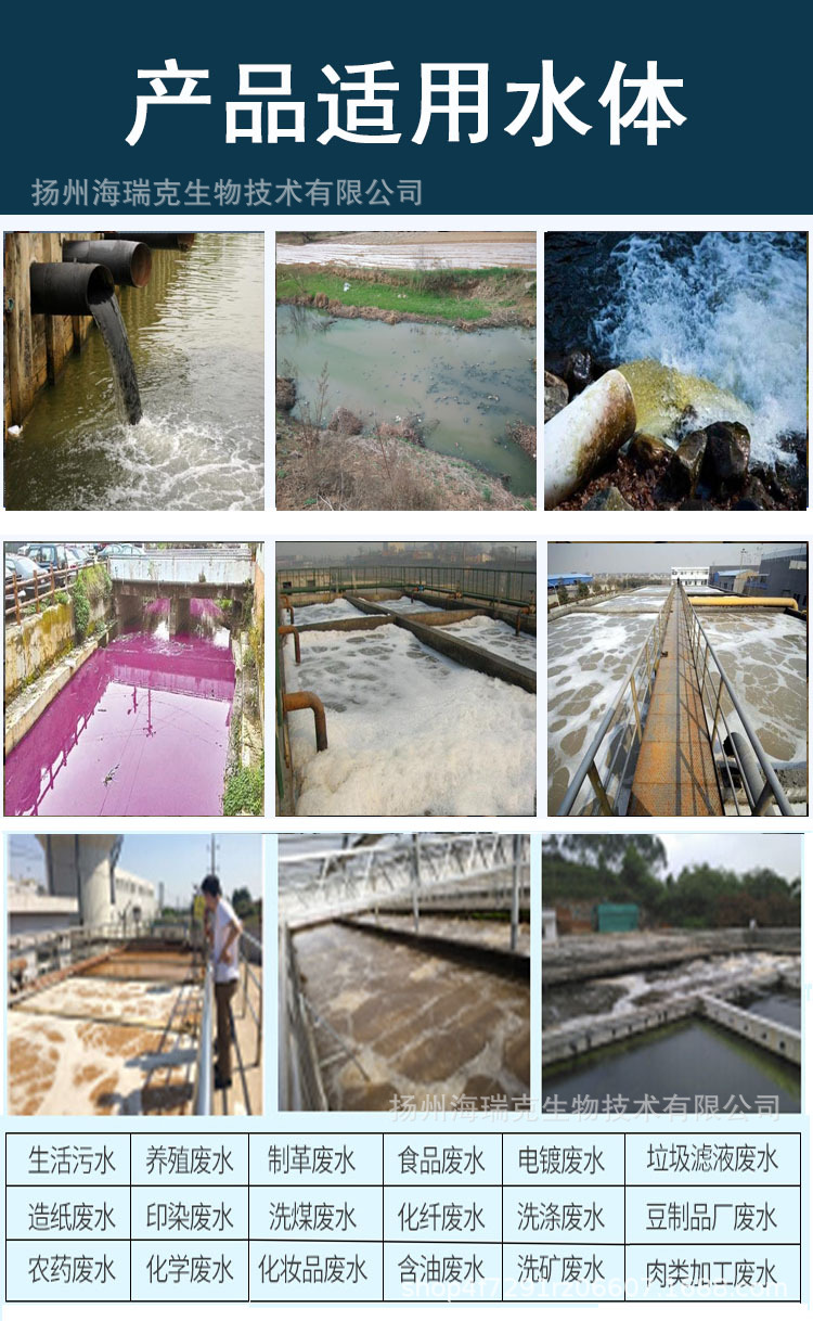 硝化菌剂污水处理菌种曝气池用快速除氨氮降总氮快速挂膜投加简单