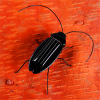 Manufactor Direct selling Strange new originality solar energy simulation Puzzle teaching interest gift solar energy Cockroach Toys