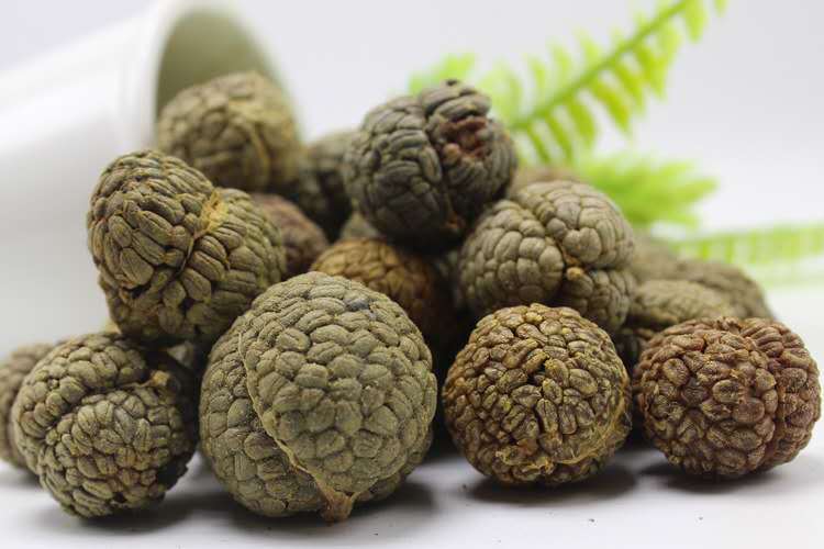 草蔻 大草寇 小草扣调味香料 火锅底料 广西海南 源产地批发零售