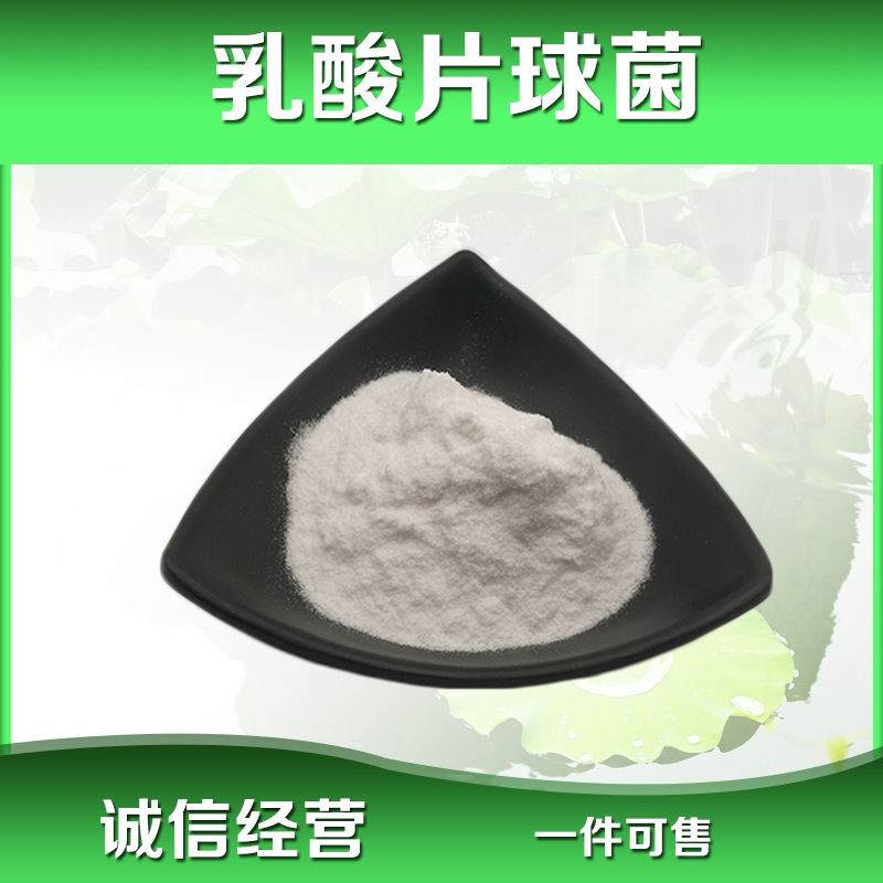 乳酸片球菌100亿cfu/g 冻干乳酸菌粉 食品级益生菌 厂家现货供应
