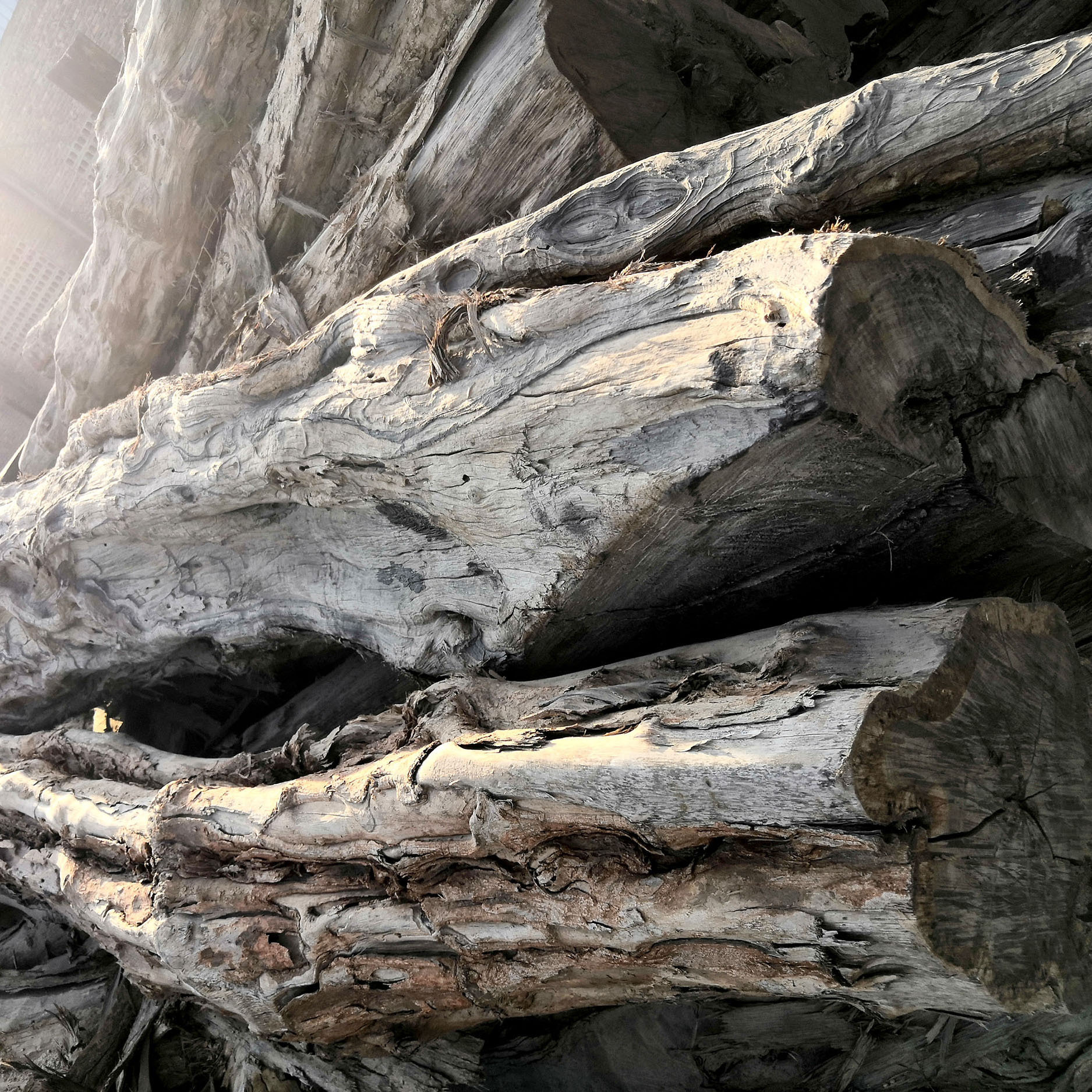 东非进口紫光檀黑檀原木家具实木板材批发零售