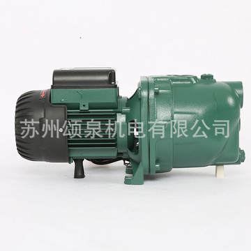 意大利dab自吸泵喷射泵大压力增压泵家用增压水泵抽水泵jet102m