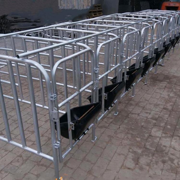 定位栏10个猪位限位栏10个钢板食槽猪用养殖设备