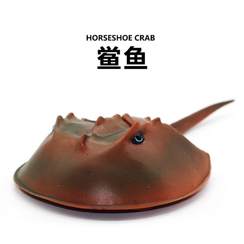 跨境野生动物手办远古仿真海洋生物鲎鱼模型实心塑胶鲎帆公仔玩具