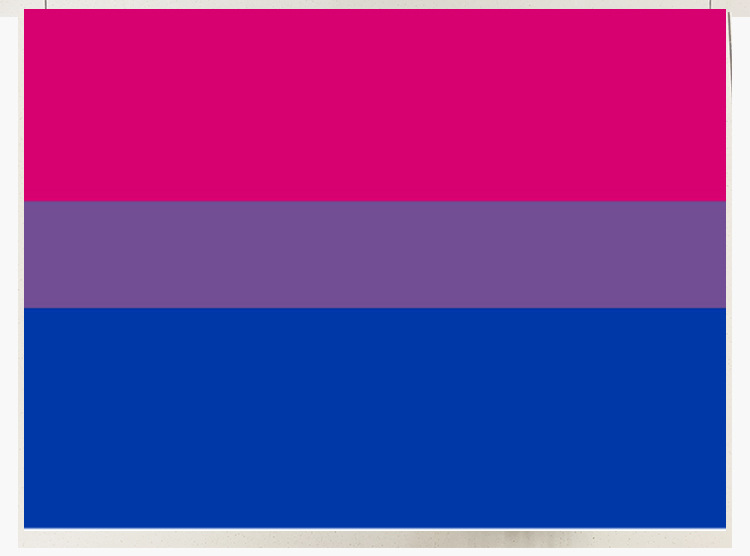 4号双性恋旗 同性恋旗帜同志旗 彩虹旗子 彩色旗 90*145cm 装饰旗