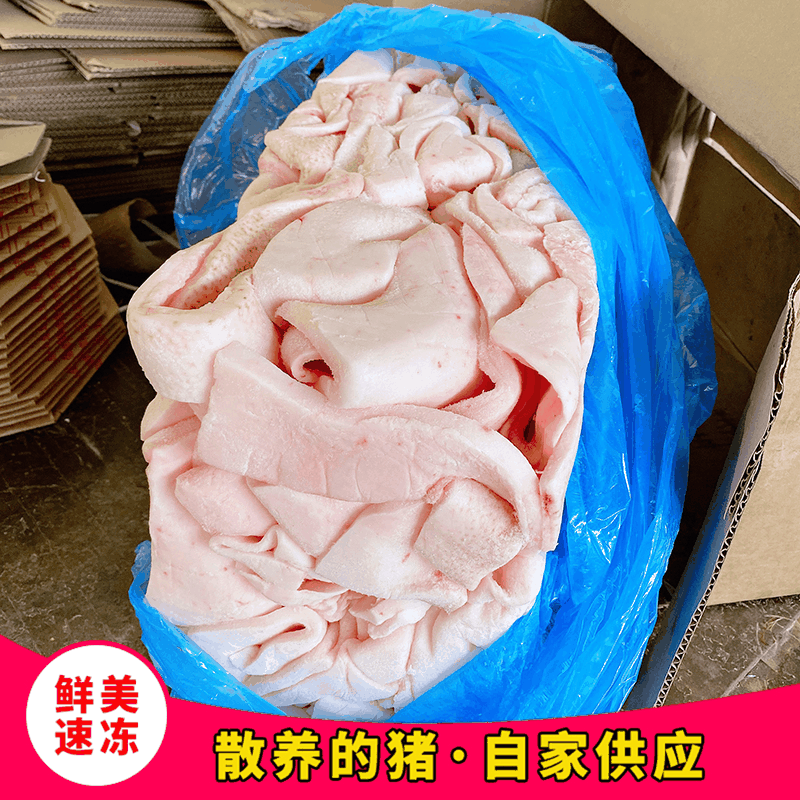厂家销售冷冻猪油肥膘 炼油肥肉膘油 冷冻生碎膘大膘板油 可批发