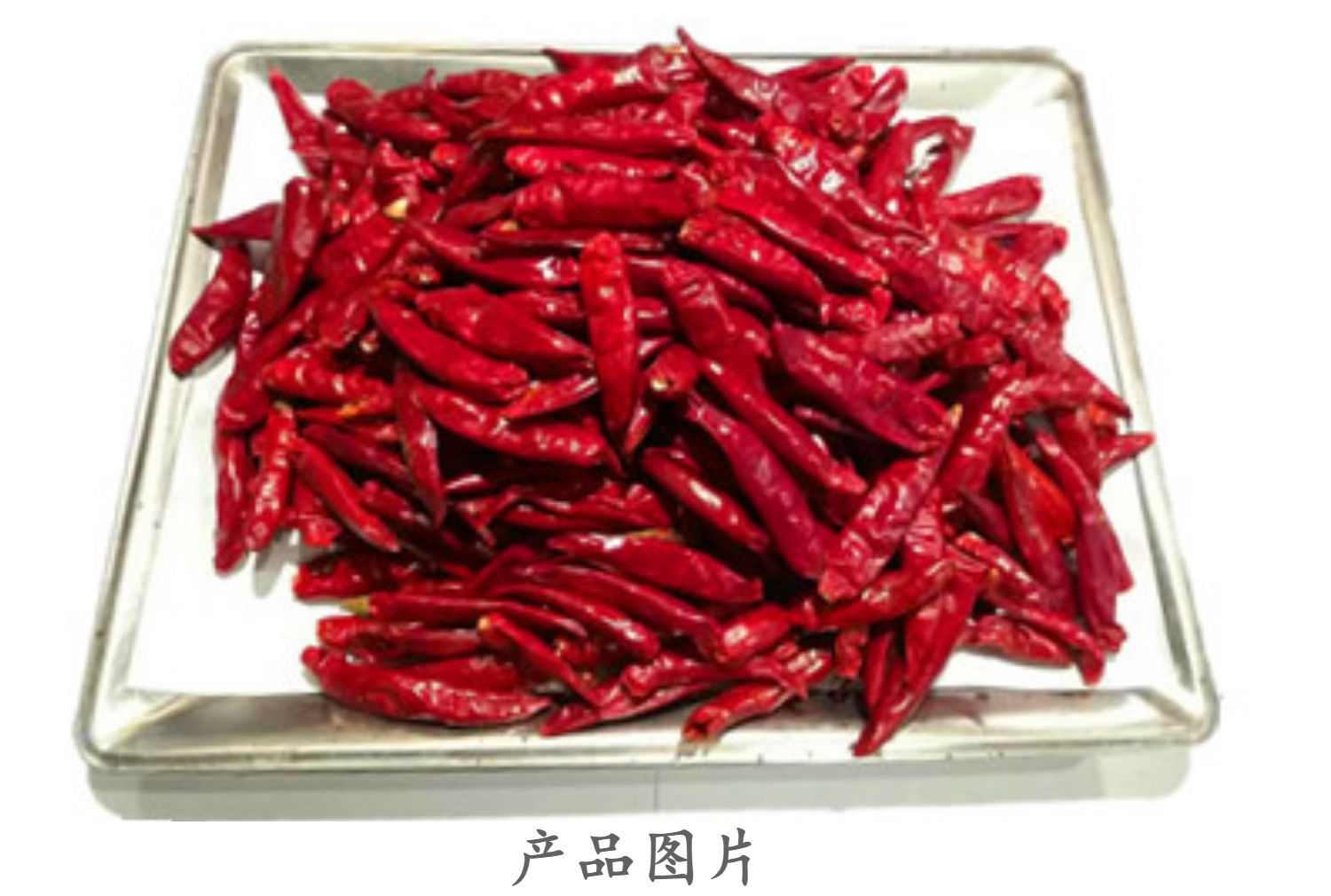 内黄新一代辣椒香辣火锅串串食材麻辣烫调料批发整件125斤袋