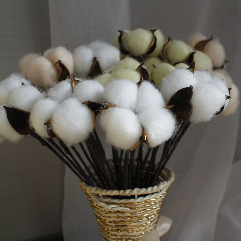 仿真单支永生棉花 彩色天然棉花 家居装饰插花道具手工假棉花