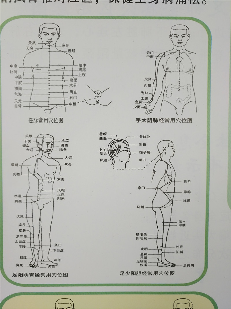 批发小尺寸人体经络刮痧挂图 刮痧图 彩色正反面刮痧穴位图可定制