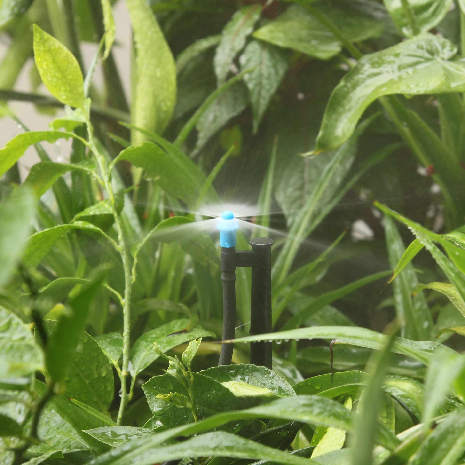 abs全新料简易雾化喷头折射喷雾微喷头果树园艺花坛浇水加湿降温