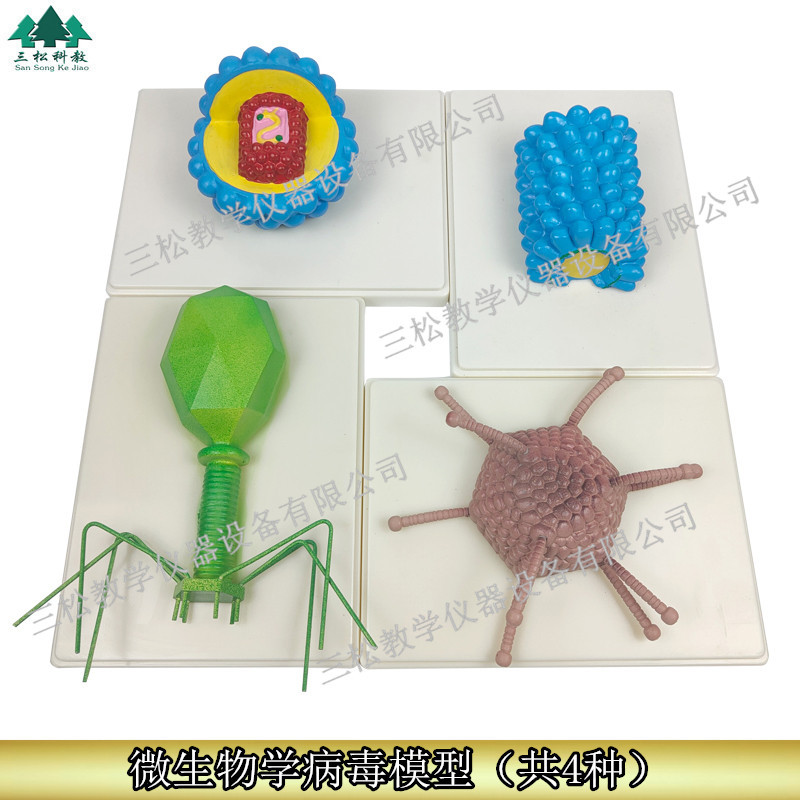 病毒模型合图_副本