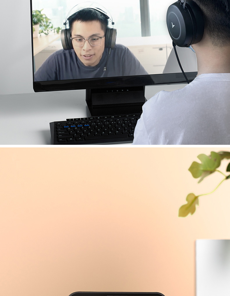 雷柏c260高清1080p台式机电脑网课直播摄像头家用教学带麦克风