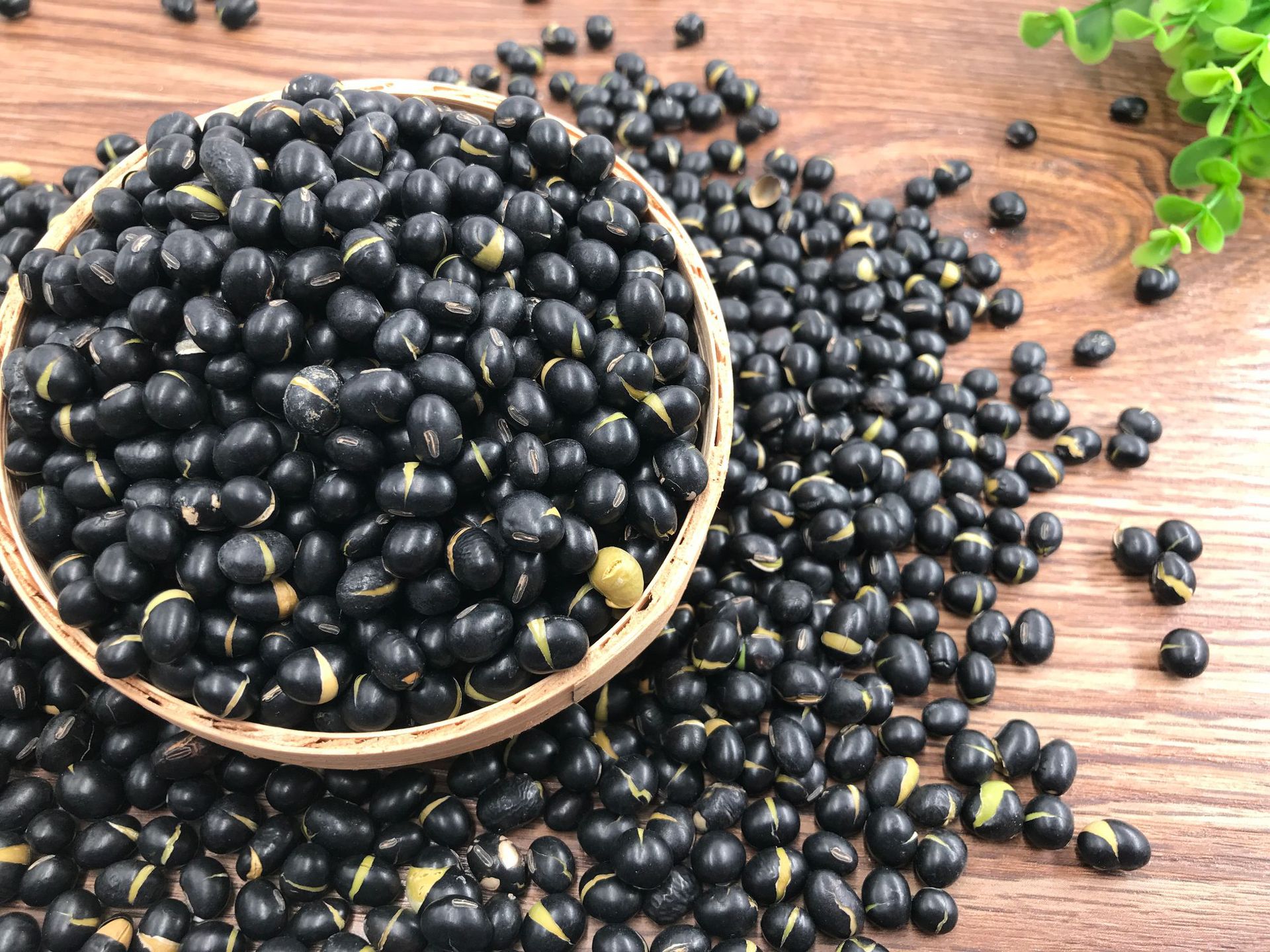 源头工厂5斤装绿心熟黑豆 低温烘焙豆浆粉原料五谷杂粮青芯黑豆