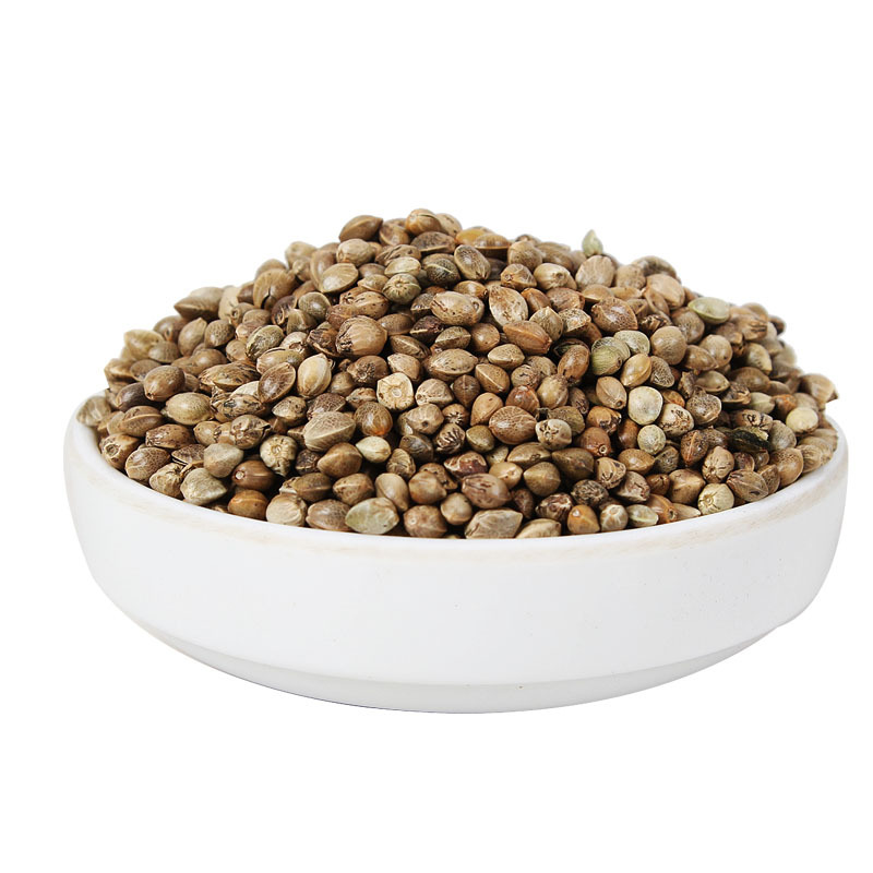 火麻仁中药材批发火麻仁 颗粒大纯净货产地大货量大从优