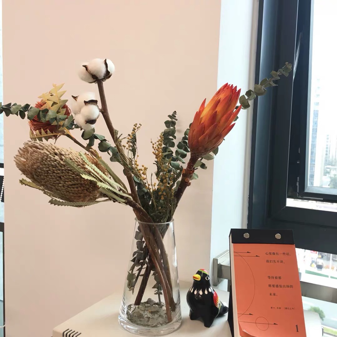 班克木进口干花班克木雪绒花永生花南非干花天然植物斑克木