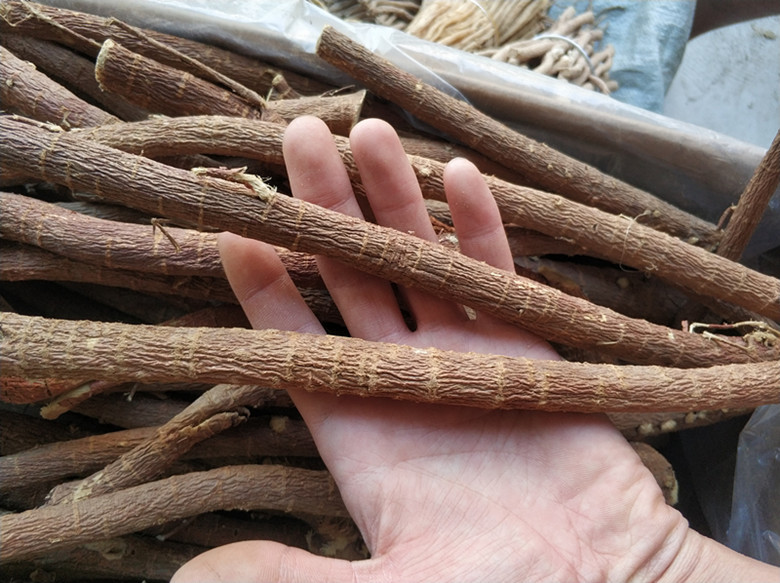 甘草个甘草条大货供应甘草原条整根甘草两件包邮一件不售