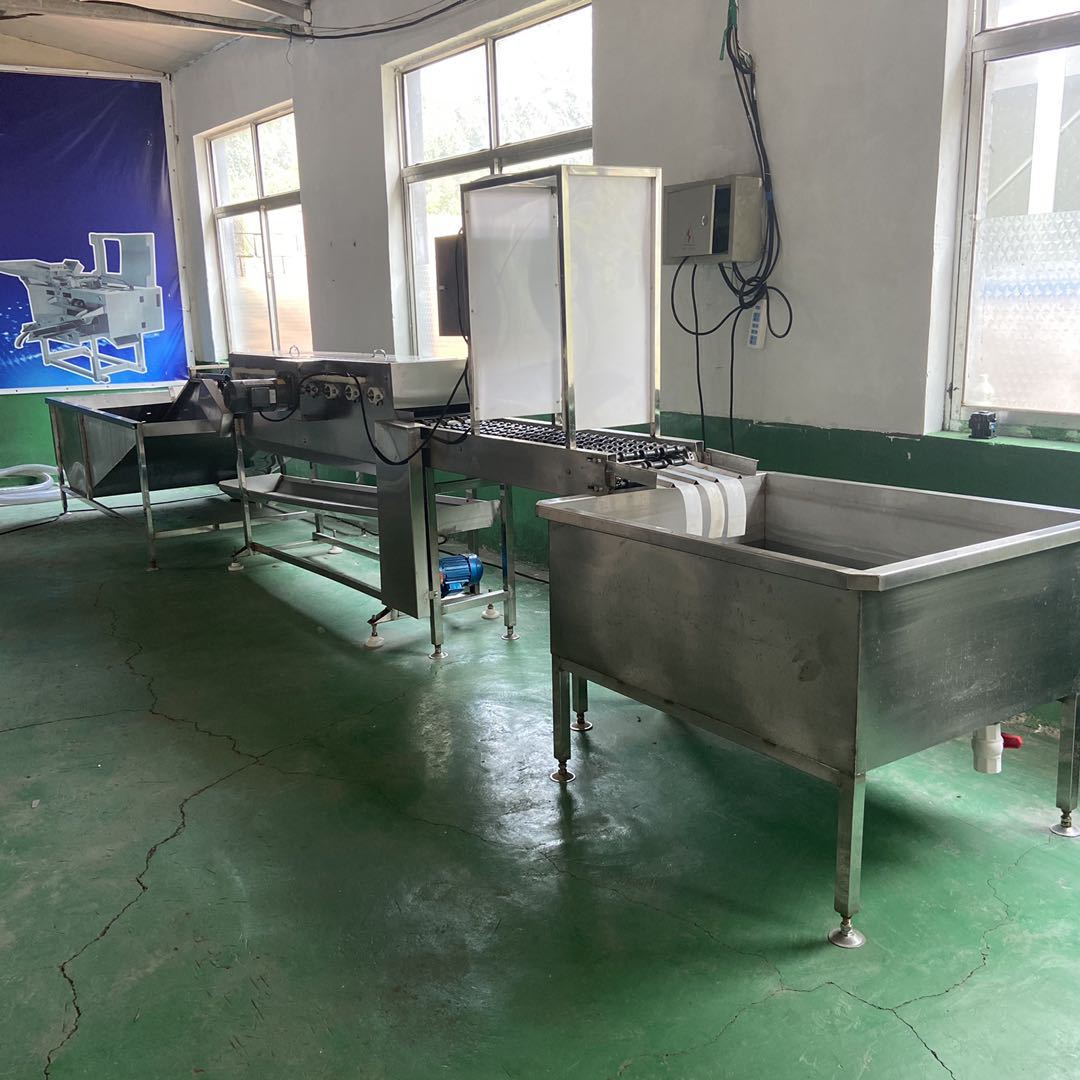 现货供应鸡蛋鸭蛋通用洗蛋机 定制高产量双排蛋品清洗机 可定制