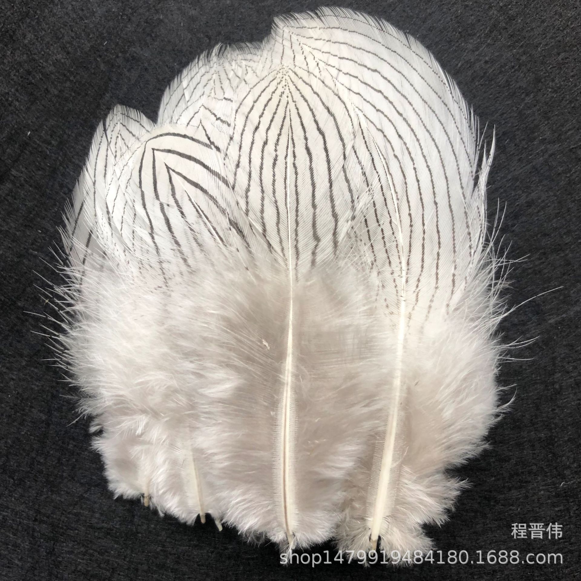 diy野鸡毛 山鸡毛 铜鸡毛 地鸡毛 锦鸡毛