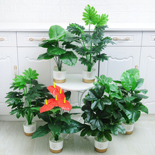 Dried flower arrangement table potted plant indoor干花摆件