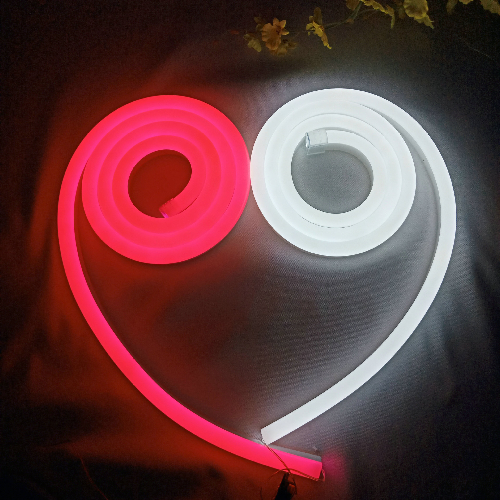 新款12v硅胶柔性霓虹灯带 定制2835低压防水15mm软条幻彩led灯带