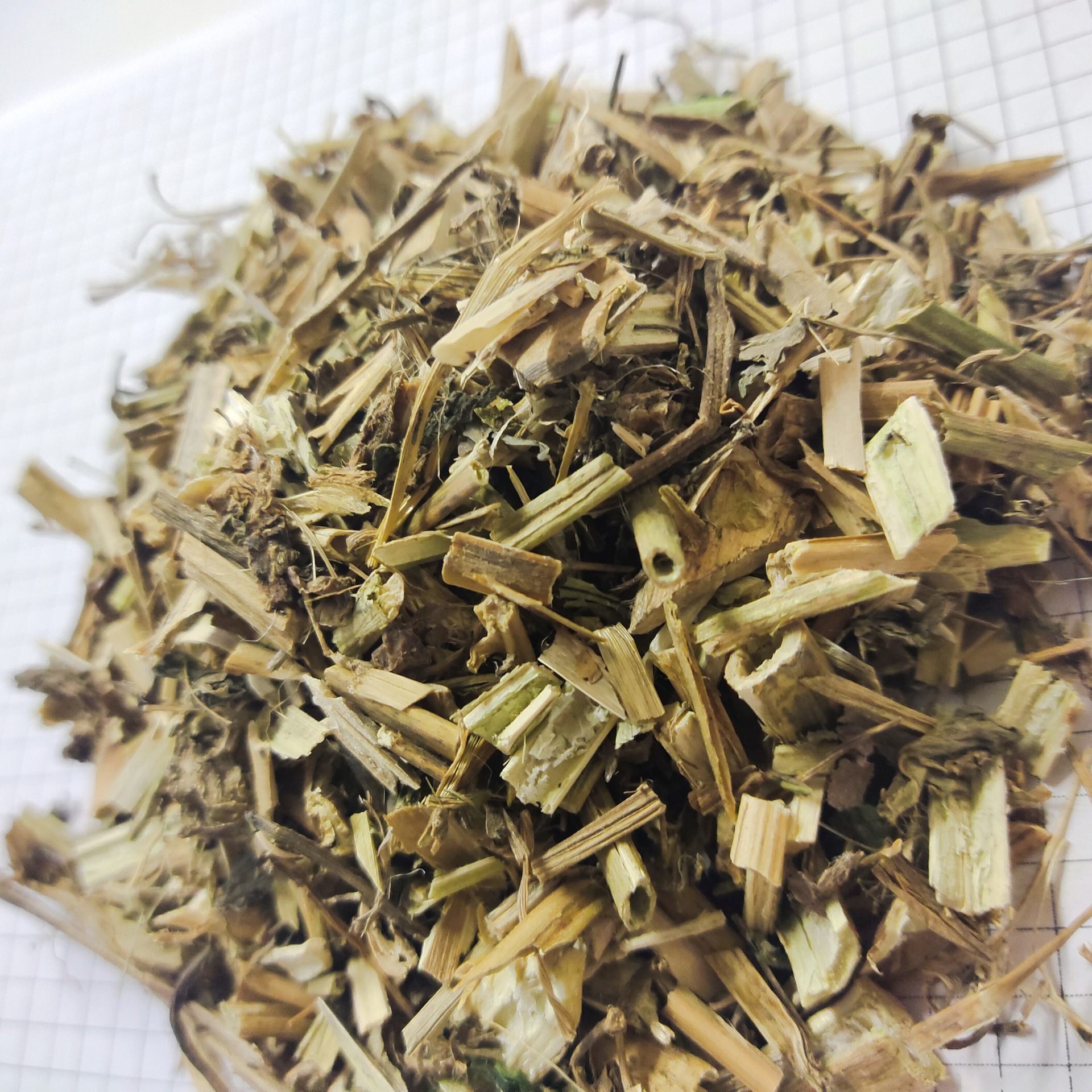 龙葵longkui 产地安徽亳州 6月产新 12元每公斤包邮 苦菜 苦葵