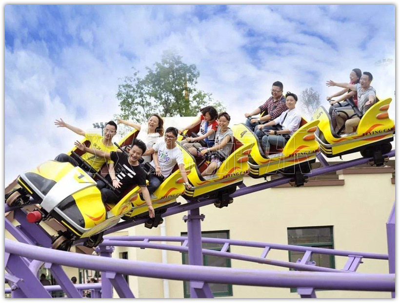 家庭过山车 大型刺激类户外游乐设施 双龙游乐厂家直销