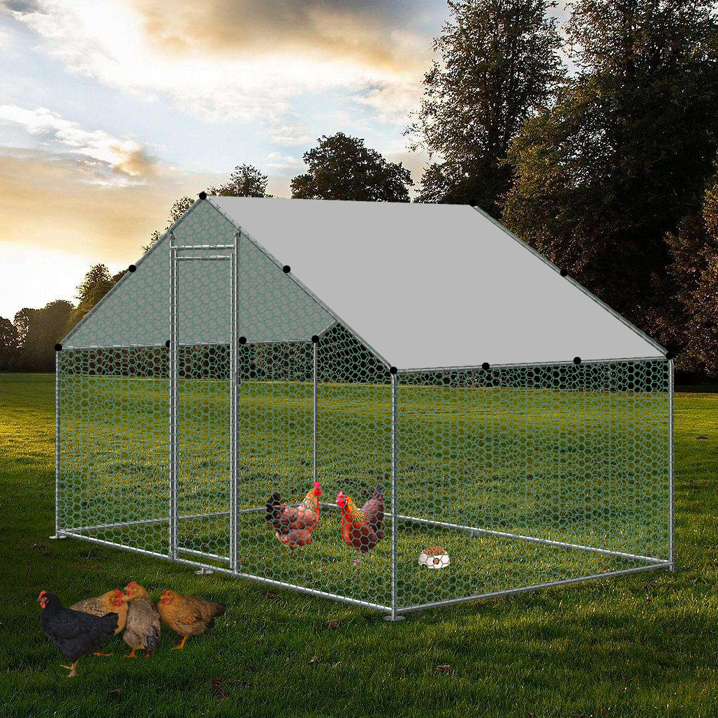 鸡笼子鸡跑笼2m x 3m宠物笼中的鸡笼chicken cage