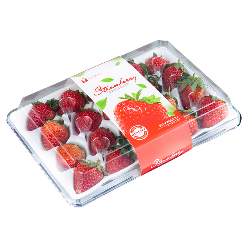 鲜衣一次性水果盒草莓盒子12枚15枚20枚草莓盒生鲜包装盒