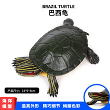仿真海洋动物模型乌龟 巴西龟 海底生物海龟模型儿童玩具手办摆件