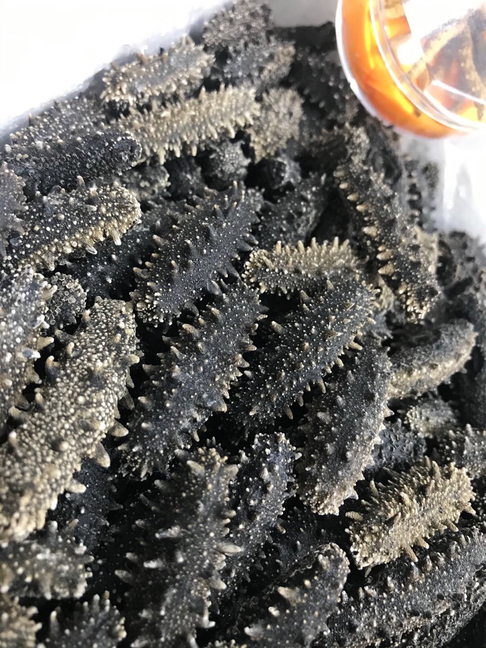 大连纯淡干海参干货6排刺满天星海参刺参50g可打礼盒厂家直销价格