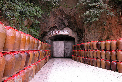 【全球货源食品行业】 - 八八坑道 ● 窖藏42