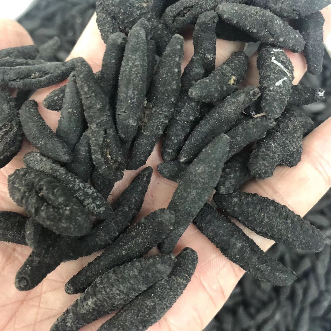 渠道批发深海天然野生海参土耳其参淡干海参干货涨发量高